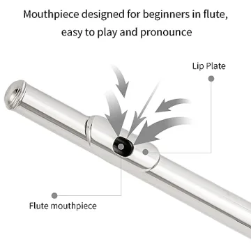 Aisiweier C Flute 16 Key Beginner Musical Instrument