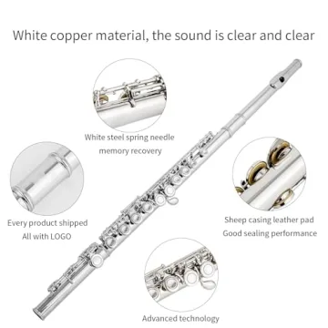 Aisiweier C Flute 16 Key Beginner Musical Instrument