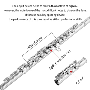 Aisiweier C Flute 16 Key Beginner Musical Instrument