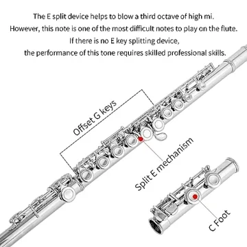 Aisiweier C Flute 16 Key Beginner Musical Instrument