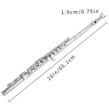 Aisiweier C Flute 16 Key Beginner Musical Instrument