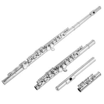Aisiweier C Flute 16 Key Beginner Musical Instrument