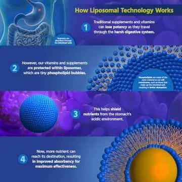 Core Med Science Liposomal Vitamin C 1000mg Liquid - Original Formula, 5 Fl Oz - Natural Liposomal Vitamin C Supplement Non-GMO - Immune System Booster for Adults - Supports Collagen Formation