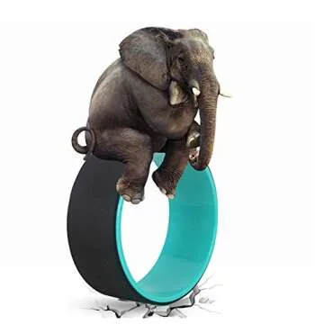 NGT new guide steps Yoga Wheel 13 inch Yoga Wheels For Back Pain Strongest and Most Comfortable Dharma Yoga Prop Wheel With Free Yoga Bands (black-green) (black-green)