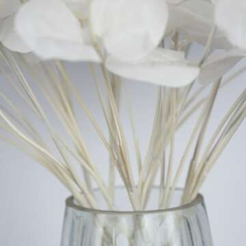 NOLAST 19" Faux Flowers Artificial Silk Silver Dollar Eucalyptus Stems Fake Plant for Vase Home Wedding Decor 3 Pcs (White)