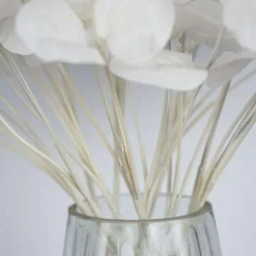 NOLAST 19" Faux Flowers Artificial Silk Silver Dollar Eucalyptus Stems Fake Plant for Vase Home Wedding Decor 3 Pcs (White)