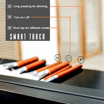 HOMPEN Vanity Mirror with Dimmable LED and USB Charging