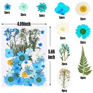 65 Pieces Real Dried Pressed Flowers and Leaves for Resin, Mixed Multiple Resin Flowers Natural Dry Flowers Colorful Daisy, Rose, Narcissus for Resin Jewelry Making,Soap, Candle,Nail Beauty and More