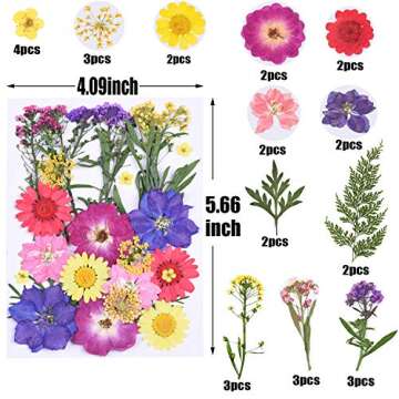 65 Pieces Real Dried Pressed Flowers and Leaves for Resin, Mixed Multiple Resin Flowers Natural Dry Flowers Colorful Daisy, Rose, Narcissus for Resin Jewelry Making,Soap, Candle,Nail Beauty and More