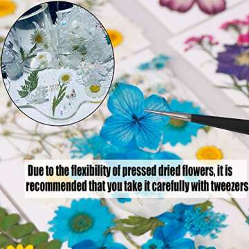 65 Pieces Real Dried Pressed Flowers and Leaves for Resin, Mixed Multiple Resin Flowers Natural Dry Flowers Colorful Daisy, Rose, Narcissus for Resin Jewelry Making,Soap, Candle,Nail Beauty and More
