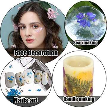 65 Pieces Real Dried Pressed Flowers and Leaves for Resin, Mixed Multiple Resin Flowers Natural Dry Flowers Colorful Daisy, Rose, Narcissus for Resin Jewelry Making,Soap, Candle,Nail Beauty and More