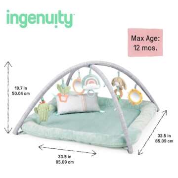 Ingenuity Calm Springs Plush Activity Gym for Baby