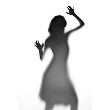 Savage Translum™, 60" W 18' L Medium-Weight Grade