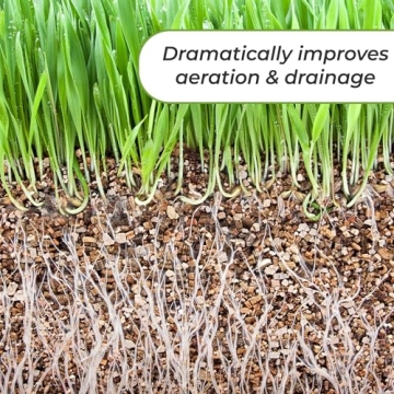 Organic Vermiculite for Thriving Plant Growth - 4qts