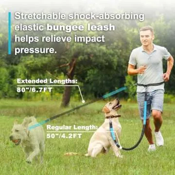 Laqibak Hands Free Dog Leash, Adjustable Waist Leash for Dog, Handle Bungee Dog Leash 4.2-6.7 Feet Long with Reflective Stitches for Walking Hiking Running, Fits 26"- 47" Waist, Black & Blue
