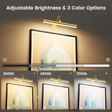 Bridika Picture Light Battery Operated - Remote Control Art Light with Timer & 3 Colors