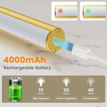 Bridika Picture Light with Remote for Home Decoration