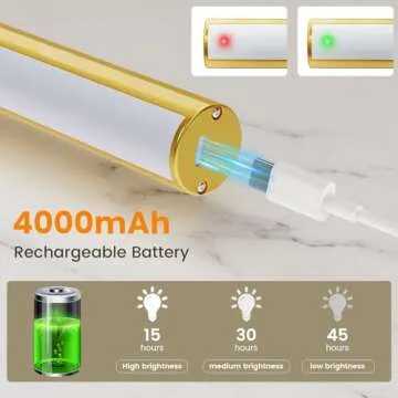 Bridika Picture Light with Remote for Home Decoration