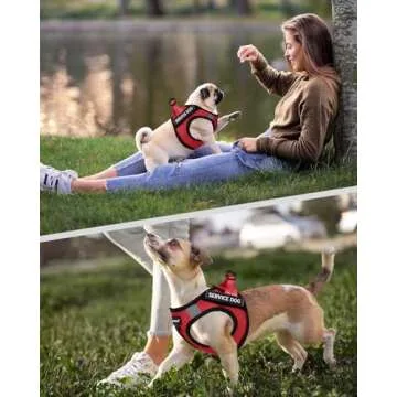 FAYOGOO Lightweight Service Dog Vest with 6 Patches