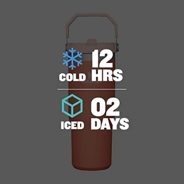 STANLEY IceFlow Tumbler - 30OZ Insulated Drinkware