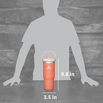 STANLEY IceFlow Tumbler - 30OZ Insulated Drinkware