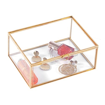 Elegant Golden Glass Lidded Jewelry Display Box