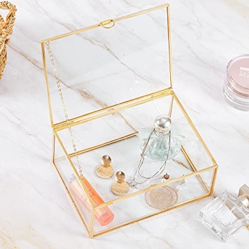 Elegant Golden Glass Lidded Jewelry Display Box