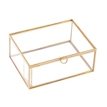 Elegant Golden Glass Lidded Jewelry Display Box