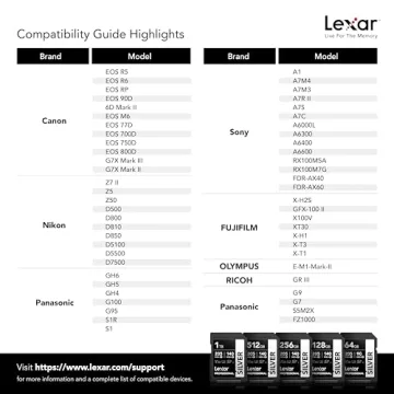 Lexar 256GB Professional Silver SDXC UHS-I Memory Card