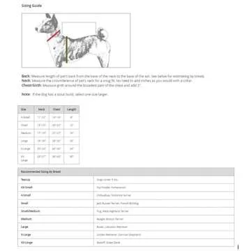 Cute Skunk Costume for Medium to Large Dogs - Casual Canine