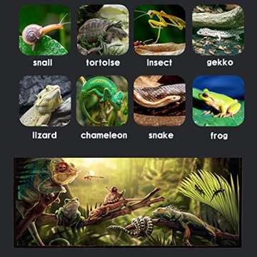 SARUFO Reptile Glass Terrarium Kit(8 Pieces) 12 * 8 * 6 in, Amphibian Tank Starter Kit, Suitable for Small Reptiles such as Geckos, Snakes, Lizards, Chameleons,Serpents(12 * 8 * 6 inchs)