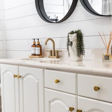 Elegant Face Vase Gift Set with Faux Succulents for Home Decor