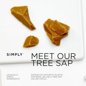 Simply Gum Natural Chewing Gum Variety Pack Guilt-Free