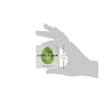 Simply Gum Natural Chewing Gum Variety Pack Guilt-Free