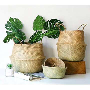 Natural Seagrass Belly Basket with Handles Seagrass Planter for Fig Indoor Plants