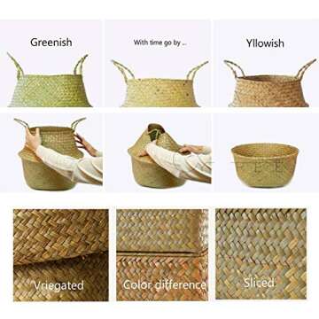 Natural Seagrass Belly Basket with Handles Seagrass Planter for Fig Indoor Plants