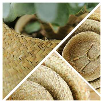 Natural Seagrass Belly Basket with Handles Seagrass Planter for Fig Indoor Plants