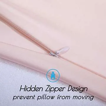 BEIJOEY 100% Mulberry Silk Pillowcase for Hair and Skin,with Hidden Zipper,Both Sides 19 Momme 600 Thread Count Natural Silk Pillow Cover,Soft Breathable Smooth (Light Pink, Standard 20''x26'')