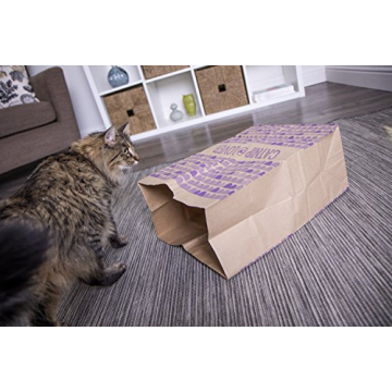 SmartyKat Catnip Caves for Fun Playtime and Comfort