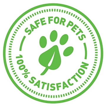 SmartyKat Catnip Caves for Fun Playtime and Comfort