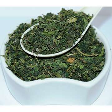 Health Embassy Stinging Nettle Leaf | Urtica Dioica L | 100% Natural (50g)
