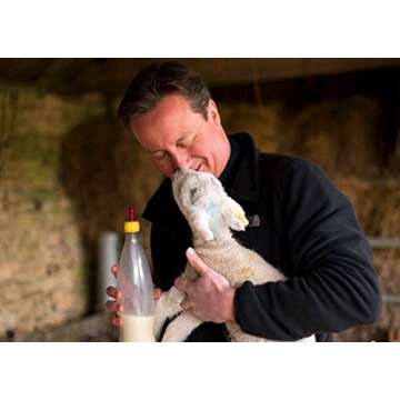 Weilan Small Animal Milk Nipples for Orphaned Feeders