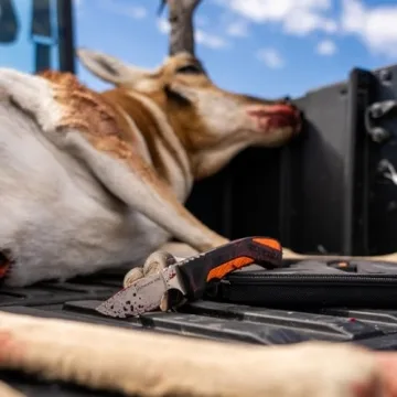 Cold Steel 5 Fixed Blade Hunting Kit with Carrying Case