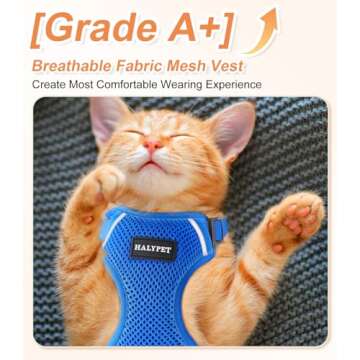Halypet Cat Harness and Leash Set - Ultimate Safety for Outdoor Adventures