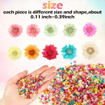 Tinideya 1500 Pcs Mini Natural Dried Flowers for Resin Crafts Little Star Colorful Dried Flowers Heads Real Natural Tiny Dried Pressed Flowers Bulk for Jewelry Earrings Epoxy Molds Candles Soap Making