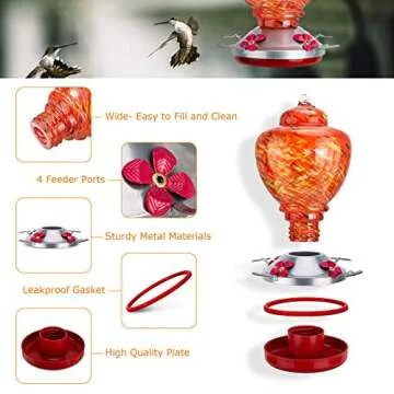 Hummingbird Feeder for Outside