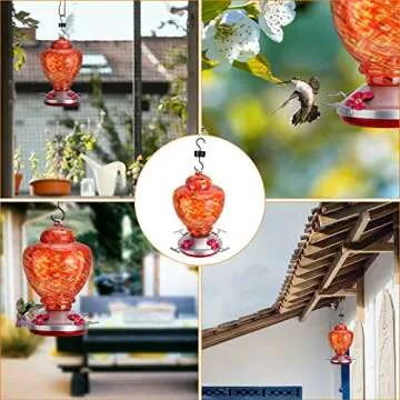 Hummingbird Feeder for Outside