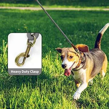 Mile High Life Dog Leash | Strong Rope Dog Leash w Premium Leather Tailor Handle | 4 Feet Dog Leash w Heavy Duty Clasp | Gray Rope Leash for Small Medium Large Dogs | Diameter 1/2"
