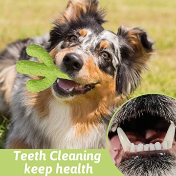 Durable MewaJump Cactus Dog Chew Toys for Aggressive Chewers