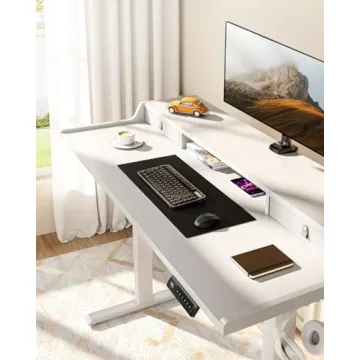 ErGear Electric Standing Desk 48" x 24" with Storage